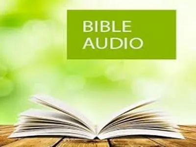 Bible app barnar image.jpg