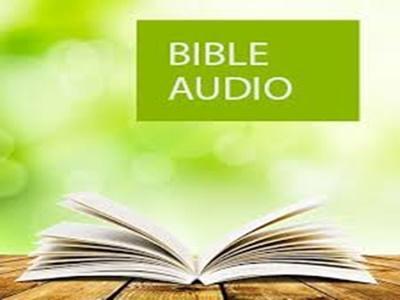 Bible app barnar image.jpg